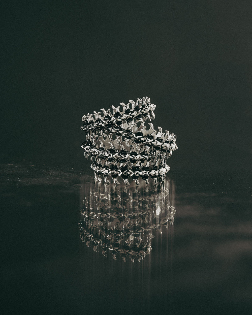 Bonafide Spine Band Ring In Stainless Steel By Statement Collective