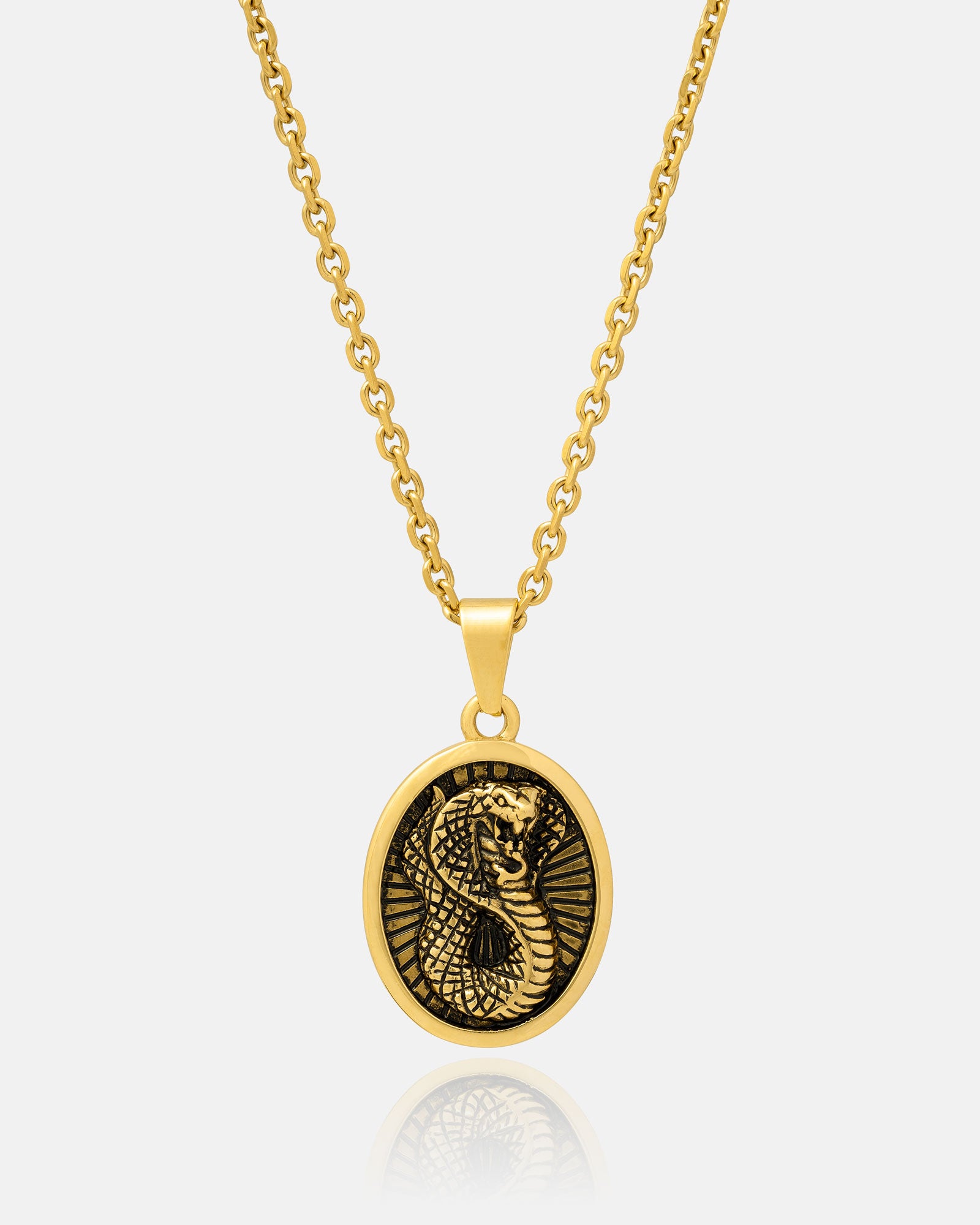 The Snake Charmer Pendant (Gold) features an oval 18k gold pendant with a black and gold engraved cobra on a sleek gold chain, shown against a white background—a modern snake talisman and striking necklace.