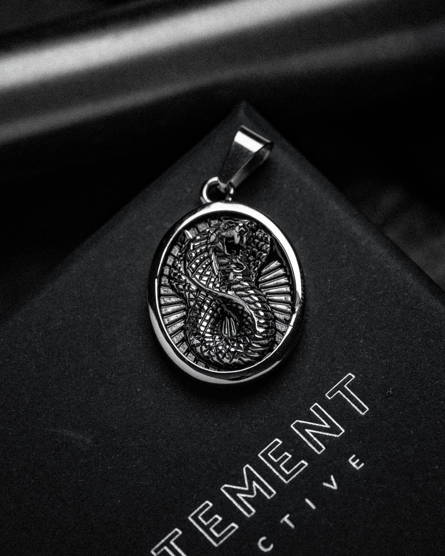 A black and white close-up of the Snake Charmer Pendant, crafted from stainless steel with a detailed dragon design, resting on a black surface where part of the word "TEMENT" is visible.