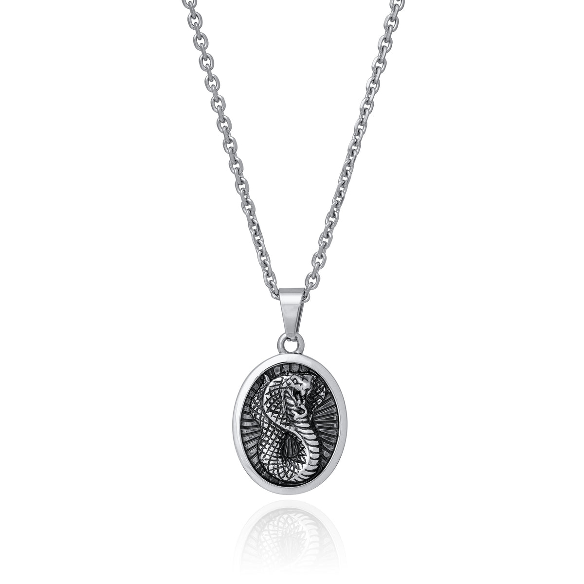 Silver snake oval talisman pendant on steel chain