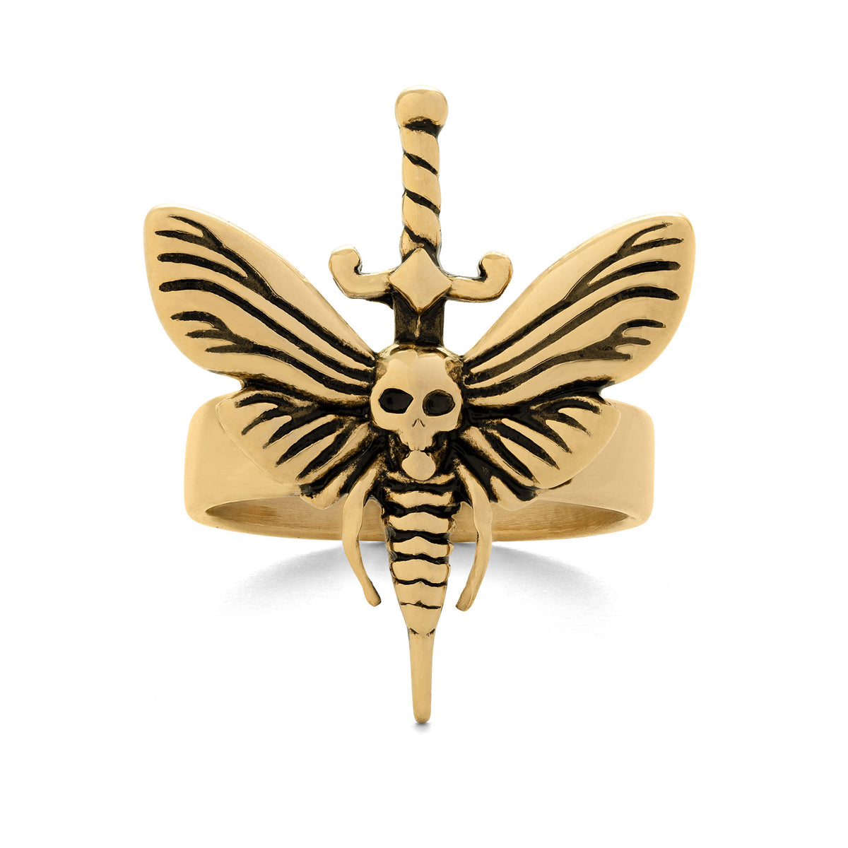 moth with dagger ring by statement collective